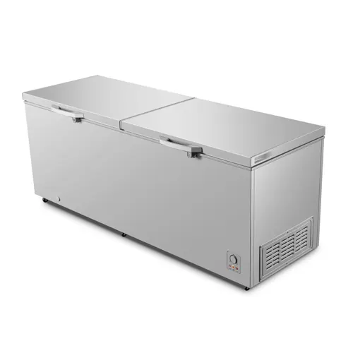 Hisense Chest Freezer FC91DD 702L