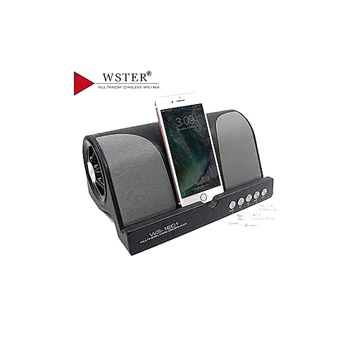 Wster WS Bluetooth Speaker
