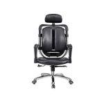 Ergonomic Executive Office Chair with Recline